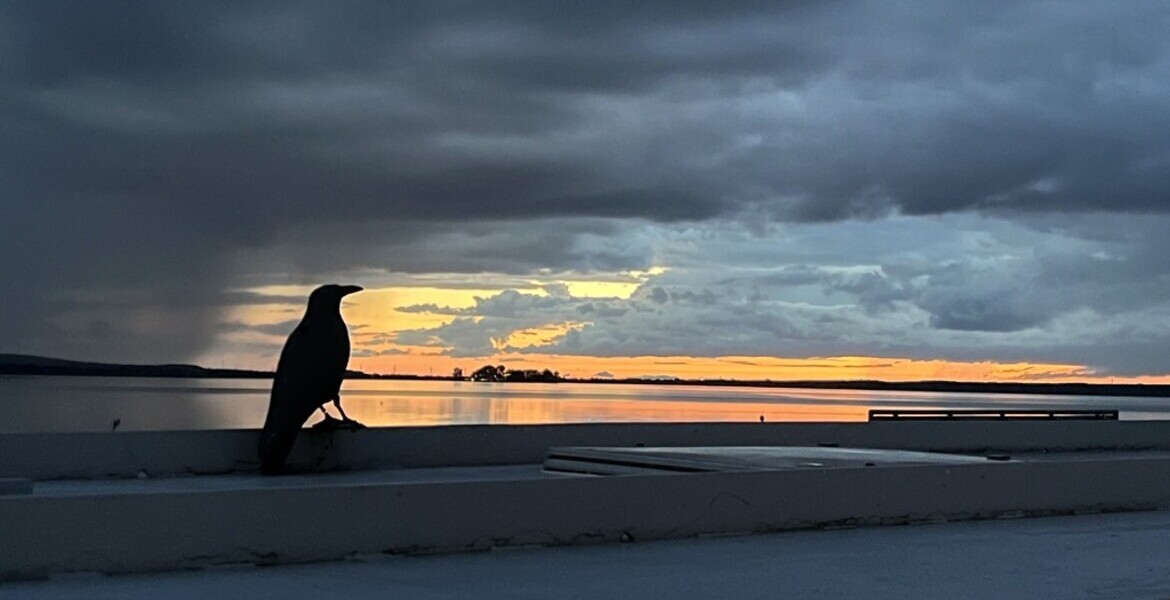 Tickets Der Mörder ist immer der Gärtner,  in Steinhude